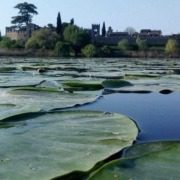 Heart-shaped lake in Castellaro Lagusello, a unique natural feature.