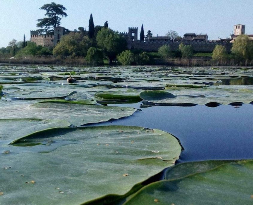 Heart-shaped lake in Castellaro Lagusello, a unique natural feature.