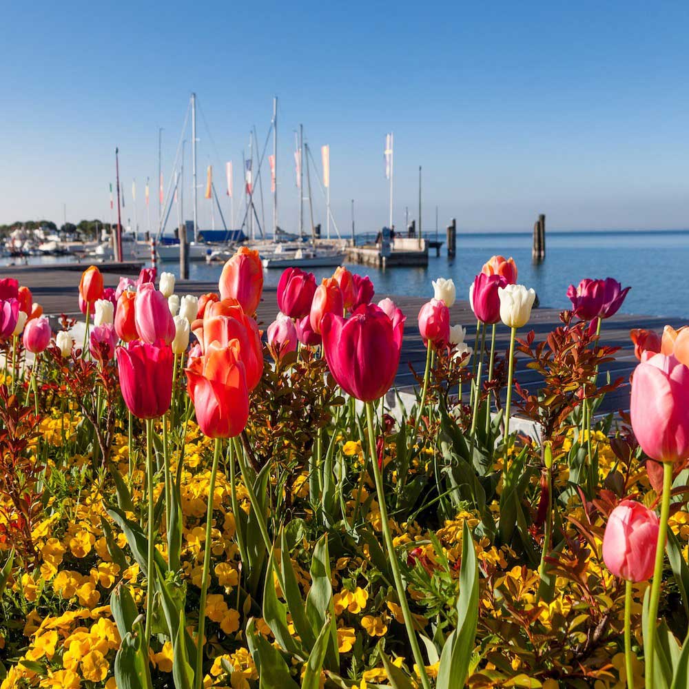 View of Lake Garda with tulip beds along the lakeside promenade in Bardolino.